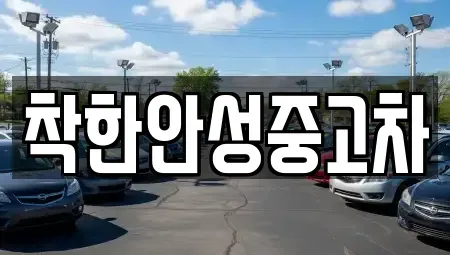 경기도 안성시 신모산동 중고차 전문 착한안성중고차