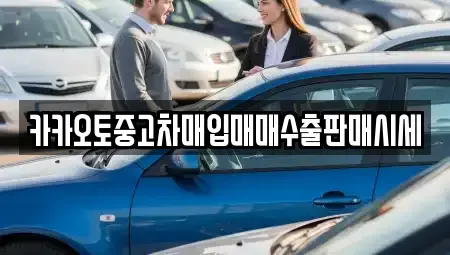 경기도 안성시 신모산동 중고차 전문 카카오토중고차매입매매수출판매시세