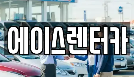 경기도 안성시 양성면 렌트카 전문 에이스렌터카