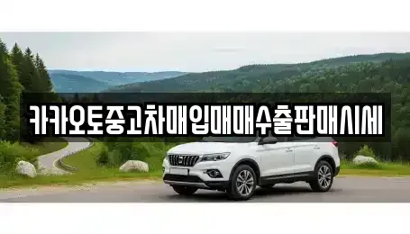 경기도 안성시 양성면 중고차매매 전문 카카오토중고차매입매매수출판매시세