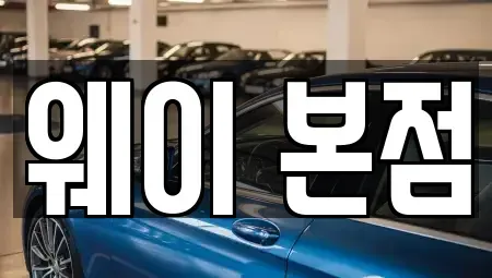 경기도 안양시 단기렌트카 전문 웨이 본점