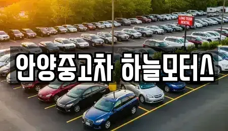 경기도 안양시 중고차 전문 안양중고차 하늘모터스