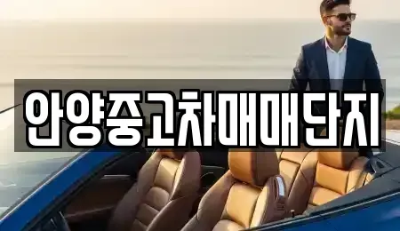 경기도 안양시 중고차 전문 안양중고차매매단지