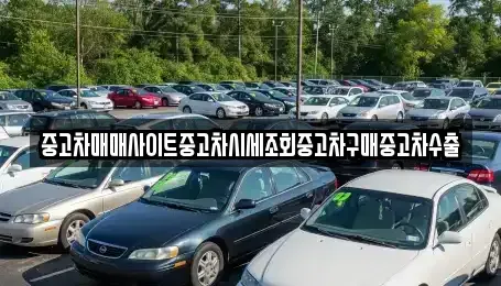 경기도 오산시 세교동 중고차 전문 중고차매매사이트중고차시세조회중고차구매중고차수출