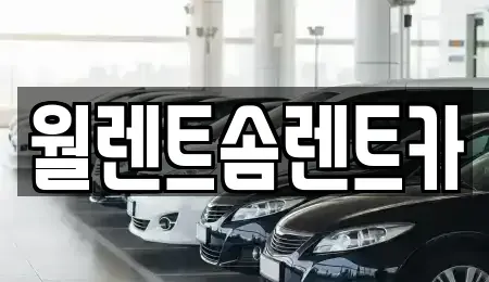 경기도 파주시 야동동 렌트카 전문 월렌트솜렌트카