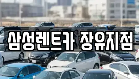 경남 김해시 부곡동 단기렌트카 전문 삼성렌트카 장유지점