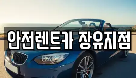 경남 김해시 삼문동 렌트카 전문 안전렌트카 장유지점