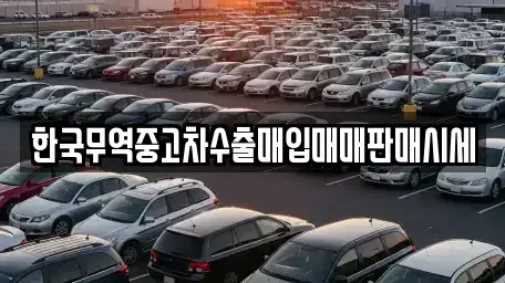 경남 김해시 삼문동 중고차매입 전문 한국무역중고차수출매입매매판매시세