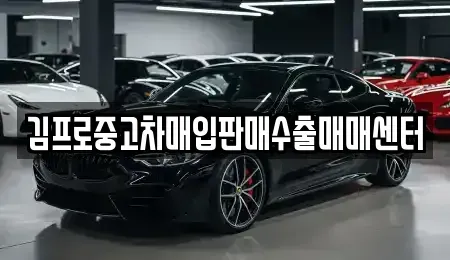 경남 창원시 마산합포구 문화동 중고차매입 전문 김프로중고차매입판매수출매매센터