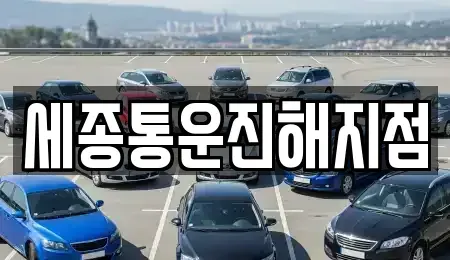 경남 창원시 진해구 성내동 렌트카 전문 세종통운진해지점