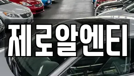 경남 창원시 진해구 성내동 렌트카 전문 제로알엔티