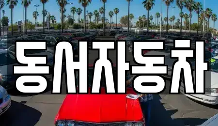 경남 창원시 진해구 창선동 중고차 전문 동서자동차
