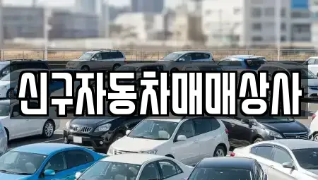 경남 창원시 진해구 태백동 중고차매매 전문 신구자동차매매상사