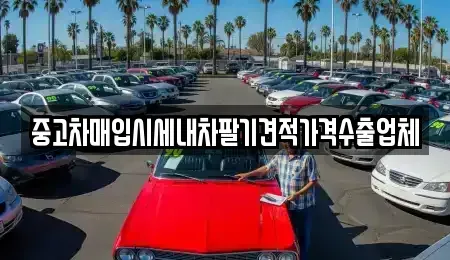 경남 함안군 가야읍 중고차매입 전문 중고차매입시세내차팔기견적가격수출업체