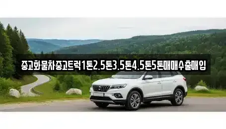 경북 안동시 광석동 중고차매입 전문 중고화물차중고트럭1톤2.5톤3.5톤4.5톤5톤매매수출매입