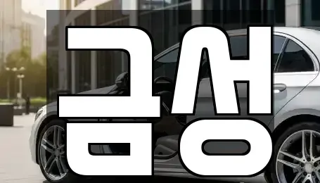 경북 영주시 문정동 렌트카 전문 금성