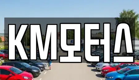 경북 영주시 안정면 중고차매매 전문 KM모터스