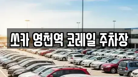 경북 영천시 과전동 렌트카 전문 쏘카 영천역 코레일 주차장