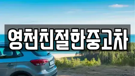 경북 영천시 쌍계동 중고차 전문 영천친절한중고차