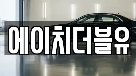 경북 영천시 장기렌트카 전문 에이치더블유