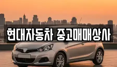 경북 영천시 중고차매매,단기렌트카,중고차매입,장기렌트카,중고차,렌트카