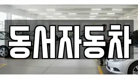 경북 포항시 남구 효자동 중고차 전문 동서자동차