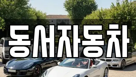 경상남도 거제시 동부면 중고차매매 전문 동서자동차