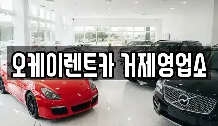 경상남도 거제시 장평동 렌트카 전문 오케이렌트카 거제영업소