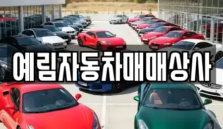 경상남도 밀양시 중고차 전문 예림자동차매매상사