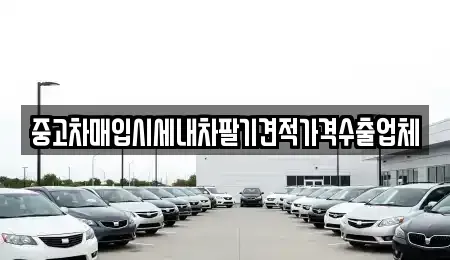 경상남도 밀양시 중고차매입 전문 중고차매입시세내차팔기견적가격수출업체