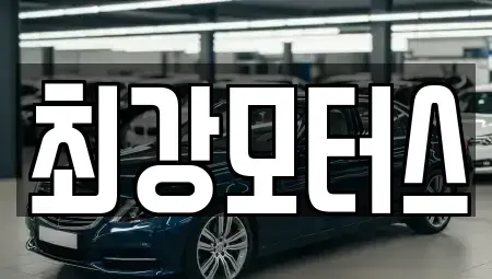 경상남도 사천시 축동면 중고차 전문 최강모터스