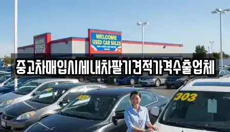 경상남도 사천시 축동면 중고차매입 전문 중고차매입시세내차팔기견적가격수출업체