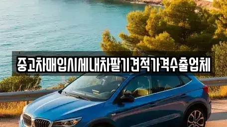 경상남도 산청군 산청읍 중고차 전문 중고차매입시세내차팔기견적가격수출업체