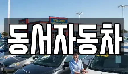 경상남도 양산시 다방동 중고차 전문 동서자동차