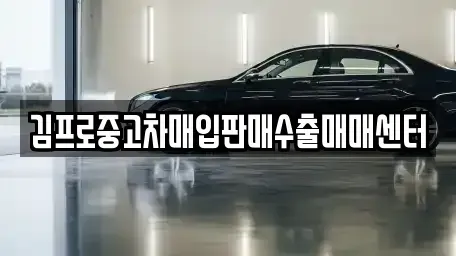 경상남도 양산시 다방동 중고차매입 전문 김프로중고차매입판매수출매매센터