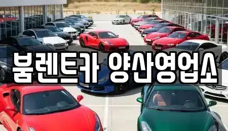 경상남도 양산시 렌트카,단기렌트카,장기렌트카,중고차,중고차매매,중고차매입