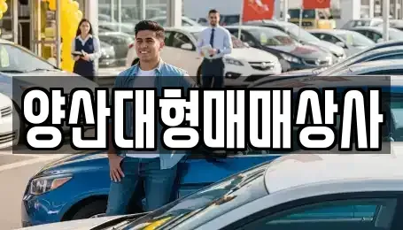 경상남도 양산시 중고차 전문 양산대형매매상사