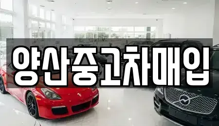 경상남도 양산시 중고차 전문 양산중고차매입