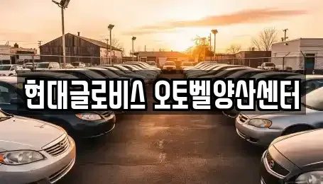 경상남도 양산시 중고차 전문 현대글로비스 오토벨양산센터