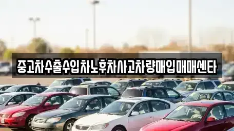 경상남도 창원시 마산합포구 서성동 중고차매입 전문 중고차수출수입차노후차사고차량매입매매센타