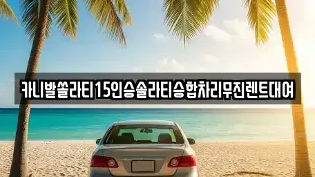 경상남도 창원시 마산합포구 신흥동 렌트카 전문 카니발쏠라티15인승솔라티승합차리무진렌트대여
