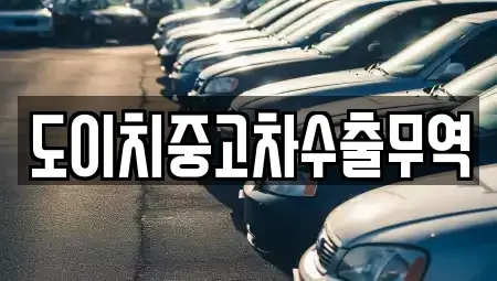 경상남도 창원시 마산합포구 신흥동 중고차 전문 도이치중고차수출무역