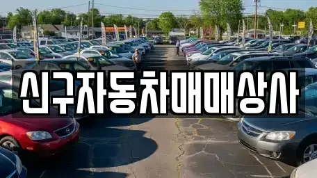경상남도 창원시 마산합포구 신흥동 중고차 전문 신구자동차매매상사