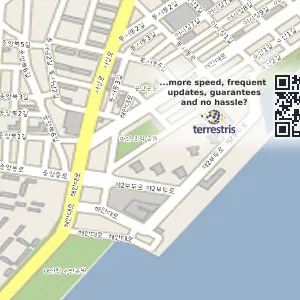 경상남도 창원시 마산합포구 신흥동 중고차매입 전국중고차매매-중고차수출,사고노후차매입 위치