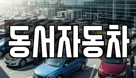 경상남도 창원시 마산합포구 오동동 중고차 전문 동서자동차