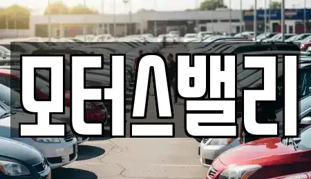 경상남도 창원시 마산합포구 오동동 중고차 전문 모터스밸리