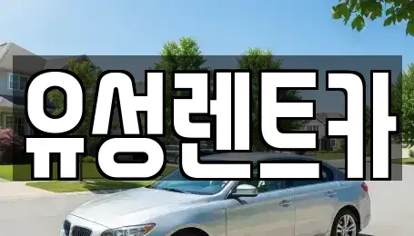 경상남도 창원시 성산구 렌트카 전문 유성렌트카