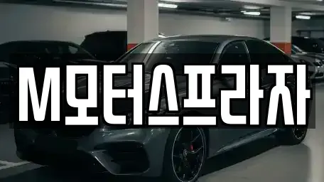 경상남도 창원시 성산구 중고차매매 전문 M모터스프라자