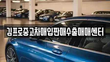경상남도 창원시 성산구 중고차매입 전문 김프로중고차매입판매수출매매센터