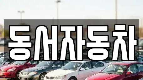 경상북도 경산시 삼풍동 중고차매매 전문 동서자동차